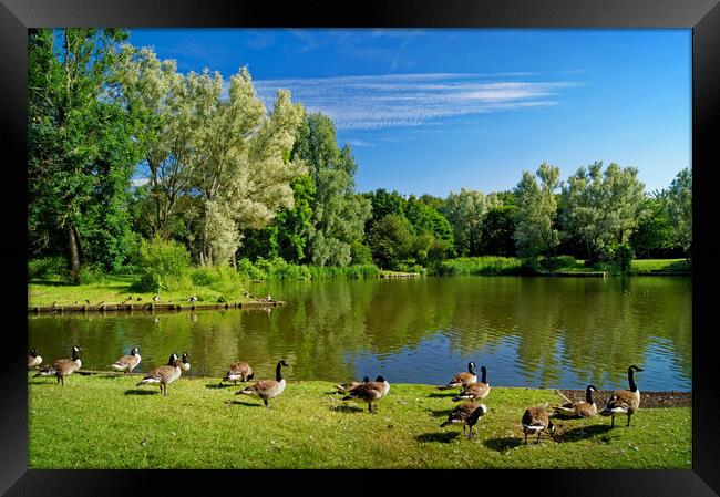 Dearne Valley Country Park Framed Print by Darren Galpin