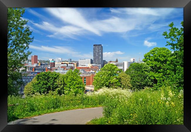 Sheffield Skyline  Framed Print by Darren Galpin