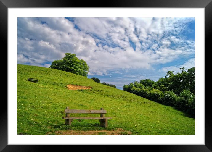 Wyndham Hill view Yeovil Framed Mounted Print by Darren Galpin