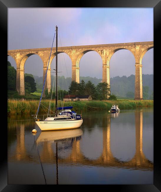 Calstock Viaduct & River Tamar Framed Print by Darren Galpin
