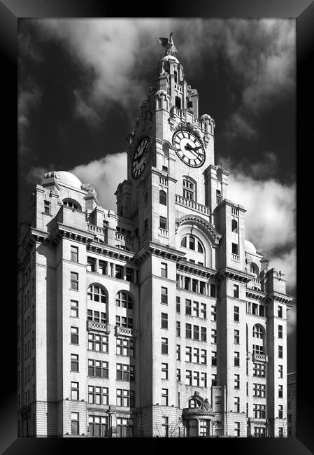 Royal Liver Building Framed Print by Darren Galpin