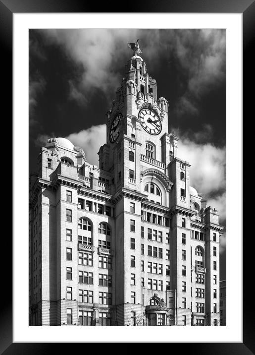 Royal Liver Building Framed Mounted Print by Darren Galpin