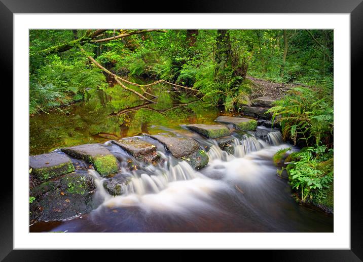 Third Coppice Stepping Stones, Rivelin   Framed Mounted Print by Darren Galpin