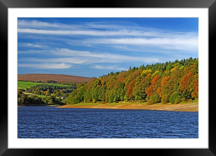 Damflask Autumn Colours Framed Mounted Print by Darren Galpin