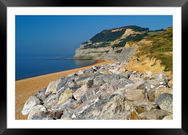 Seatown Beach and Golden Cap Framed Mounted Print by Darren Galpin