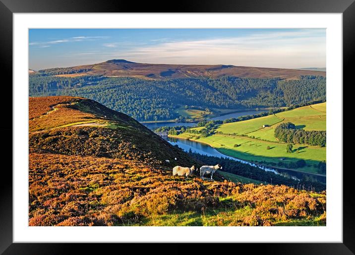 Ladybower Lookout  Framed Mounted Print by Darren Galpin