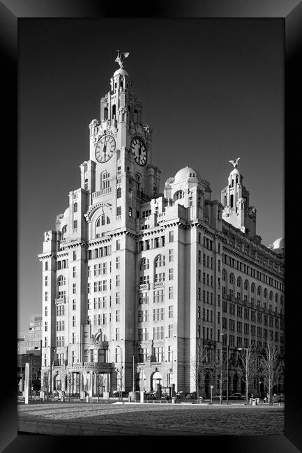 Royal Liver Building Framed Print by Darren Galpin