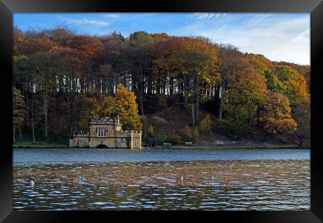 Newmillerdam Boathouse  Framed Print by Darren Galpin