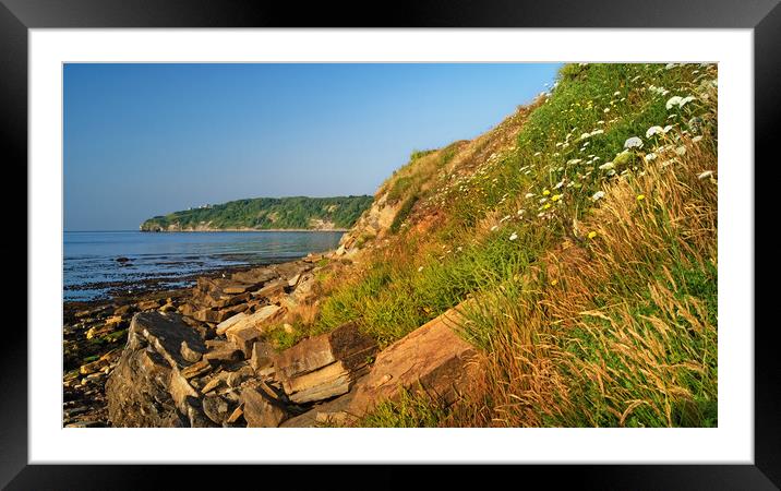 Durlston Head from Peveril Point Framed Mounted Print by Darren Galpin