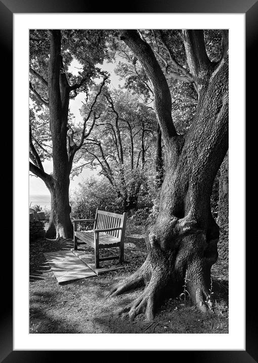Bench with a View, Durlston Bay near Swanage Framed Mounted Print by Darren Galpin