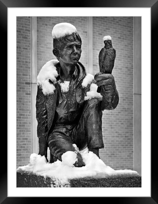 Barry Hines & Kes Statue  Framed Mounted Print by Darren Galpin