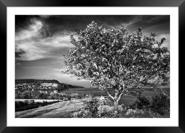 View from Peak Hill Framed Mounted Print by Darren Galpin