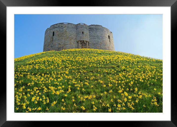 Cliffords Tower, York in Spring Framed Mounted Print by Darren Galpin