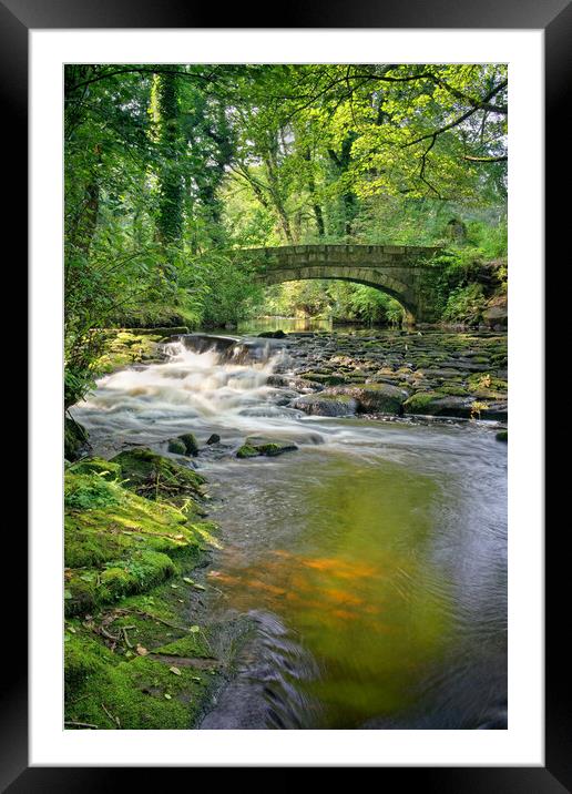 Rivelin Packhorse Bridge & Weir  Framed Mounted Print by Darren Galpin