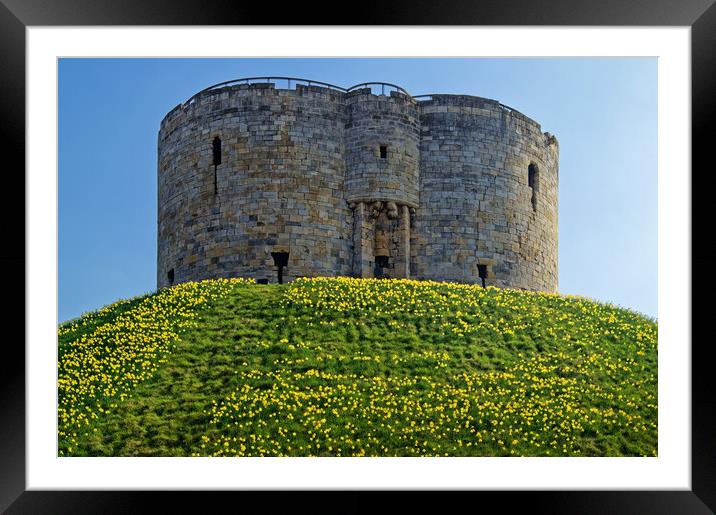 Cliffords Tower, York in Spring Framed Mounted Print by Darren Galpin
