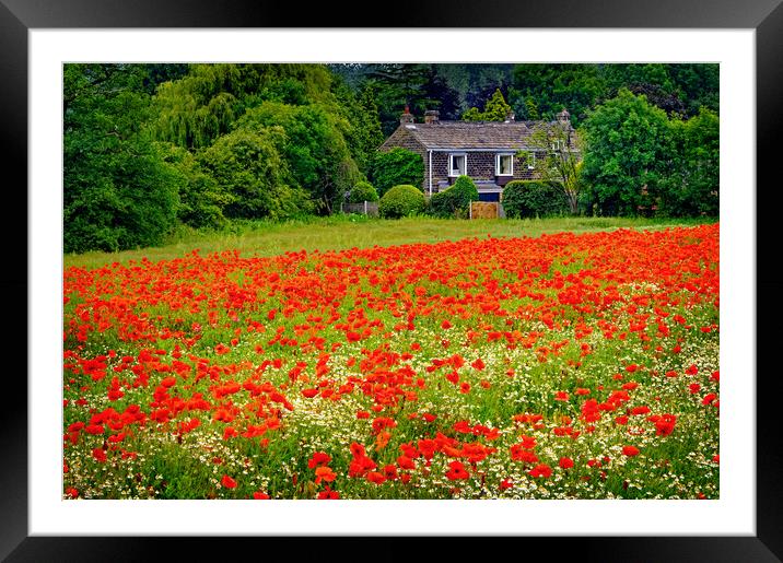 Poppies Sandal West Yorkshire Framed Mounted Print by Darren Galpin