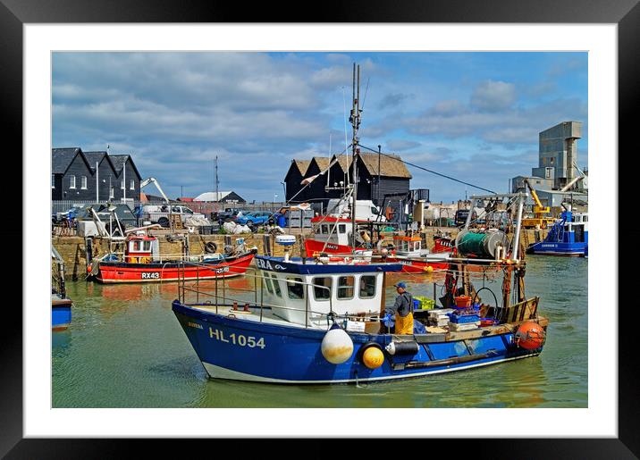 Catch of the Day at Whitstable Harbour Framed Mounted Print by Darren Galpin