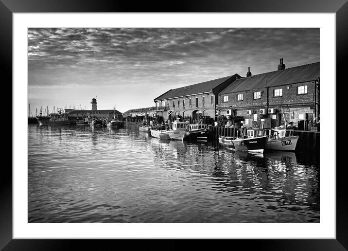 Scarborough Harbour and Lighthouse Framed Mounted Print by Darren Galpin