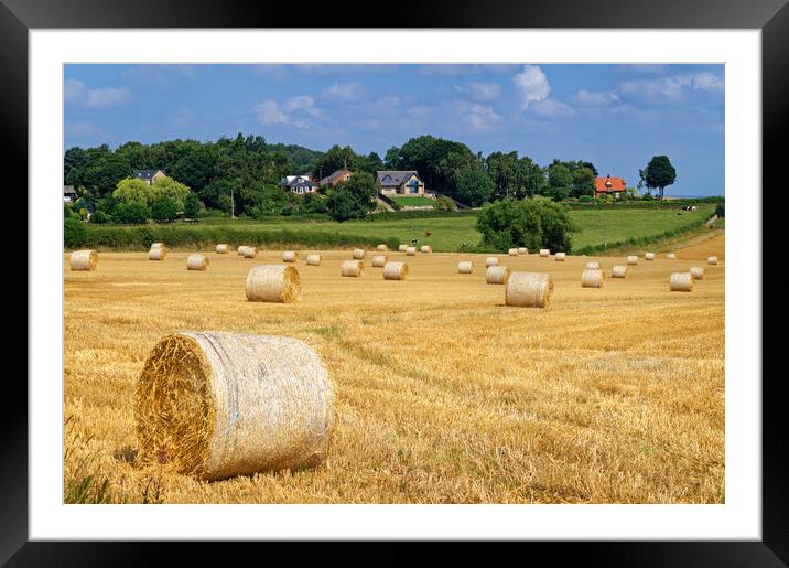 Staincross Hay Bales Framed Mounted Print by Darren Galpin