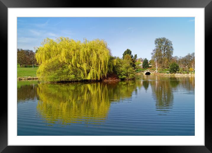 Cusworth Park Reflections Framed Mounted Print by Darren Galpin