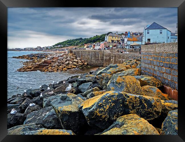 Lyme Regis from Gun Cliff Walk Framed Print by Darren Galpin