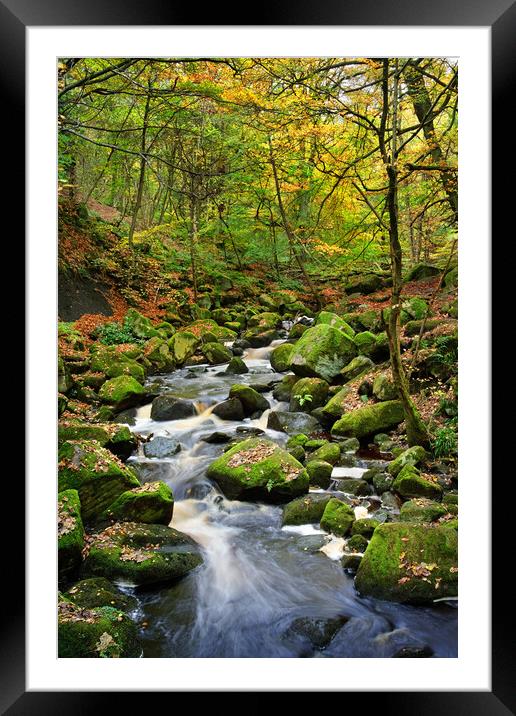 Padley Gorge Framed Mounted Print by Darren Galpin