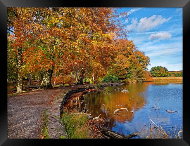 Longshaw Pond     Framed Print by Darren Galpin