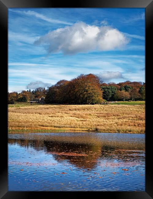 Longshaw Pond     Framed Print by Darren Galpin
