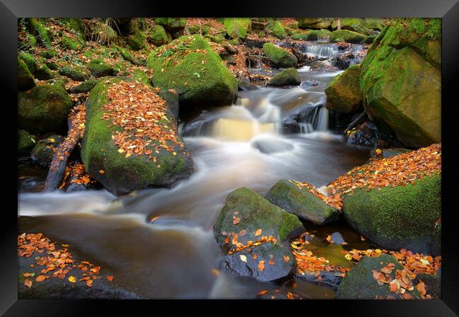 Padley Gorge Waterfall  Framed Print by Darren Galpin