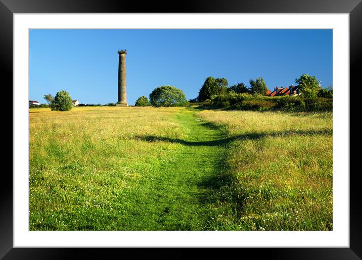 Keppels Column, Rotherham Framed Mounted Print by Darren Galpin