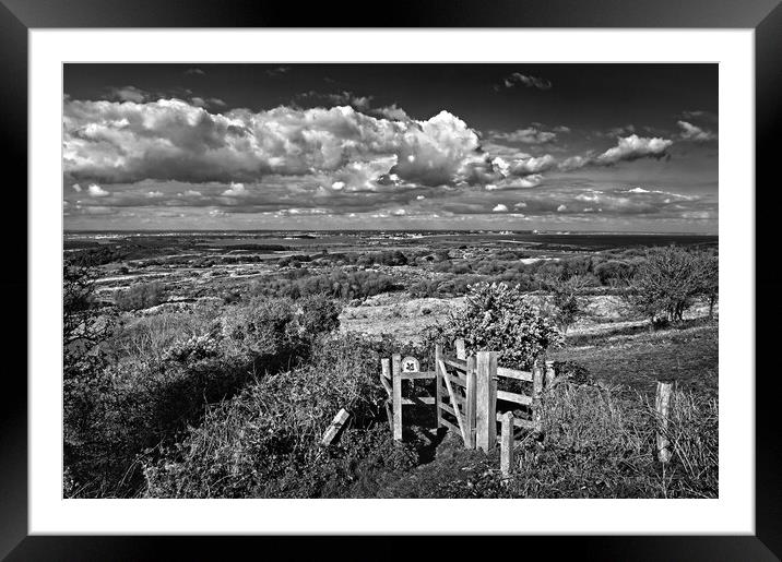 View across Studland and Godlington Heath   Framed Mounted Print by Darren Galpin