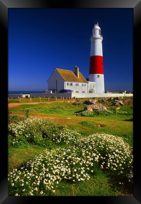 Portland Bill Lighthouse Framed Print by Darren Galpin