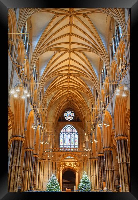 Lincoln Cathedral Interior Framed Print by Darren Galpin