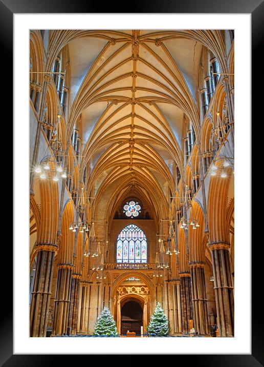 Lincoln Cathedral Interior Framed Mounted Print by Darren Galpin