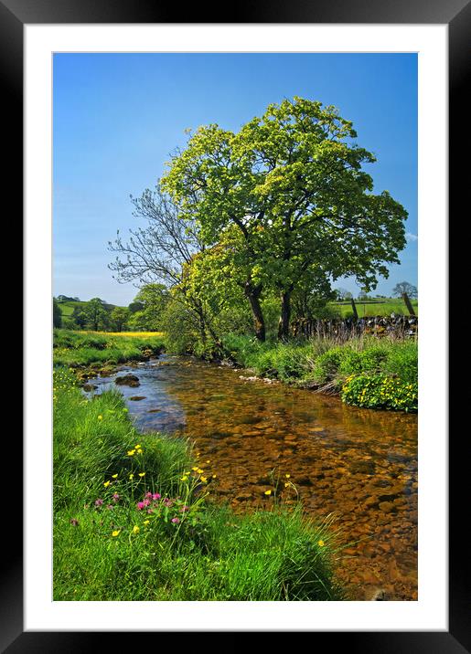 Gordale Beck, Yorkshire Dales Framed Mounted Print by Darren Galpin