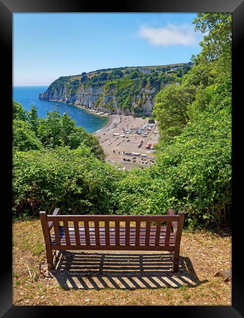 Beer View Devon Framed Print by Darren Galpin