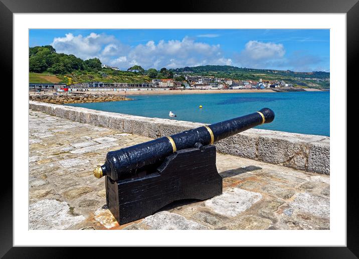 Lyme Regis from North Wall  Framed Mounted Print by Darren Galpin