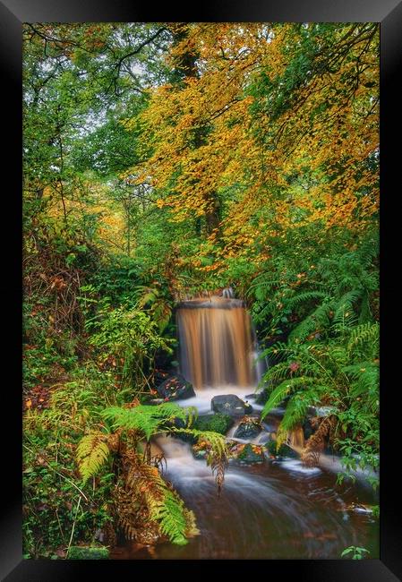 Upper Coppice Wheel, Rivelin Framed Print by Darren Galpin