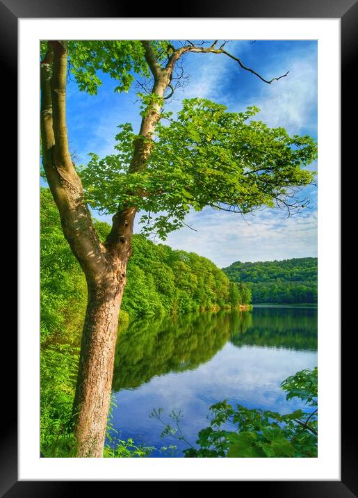 Damflask Reservoir  Framed Mounted Print by Darren Galpin