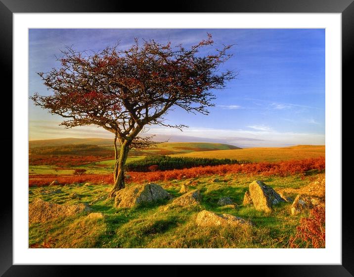 Dartmoor  Framed Mounted Print by Darren Galpin