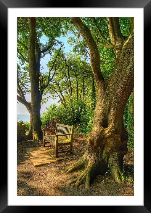 Swanage Bench Framed Mounted Print by Darren Galpin