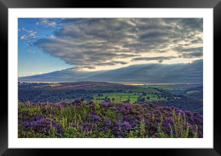 Surprise View Sunset Framed Mounted Print by Darren Galpin