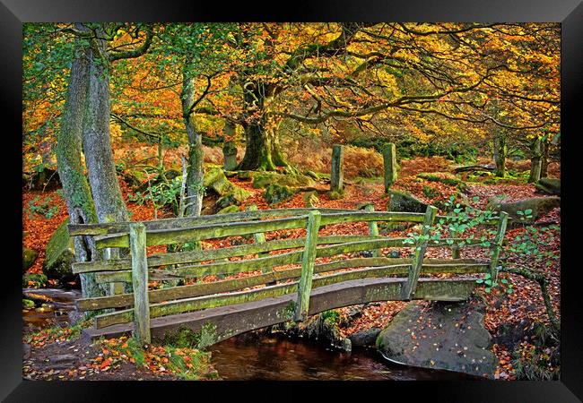 Padley Gorge Footbridge Framed Print by Darren Galpin