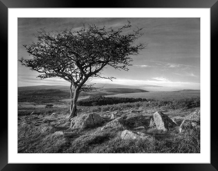 Two Moors Way Dartmoor  Framed Mounted Print by Darren Galpin