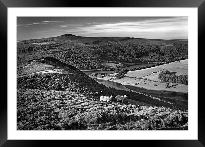 Ladybower Lookout   Framed Mounted Print by Darren Galpin