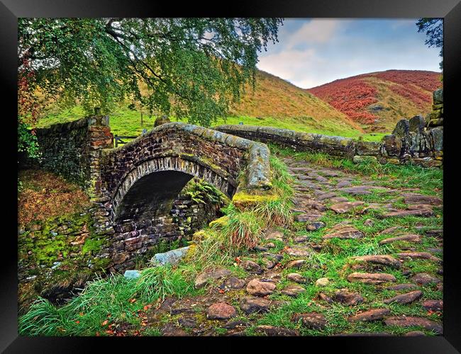 Easter Gate Bridge, Marsden  Framed Print by Darren Galpin