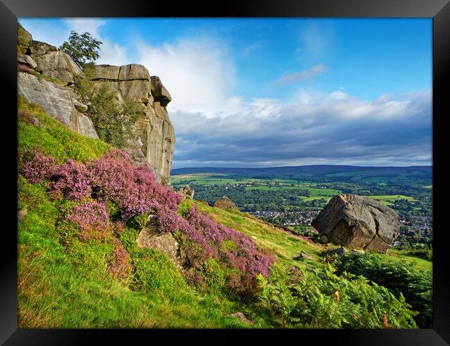 The Cow and Calf Rocks, Ilkley Framed Print by Darren Galpin