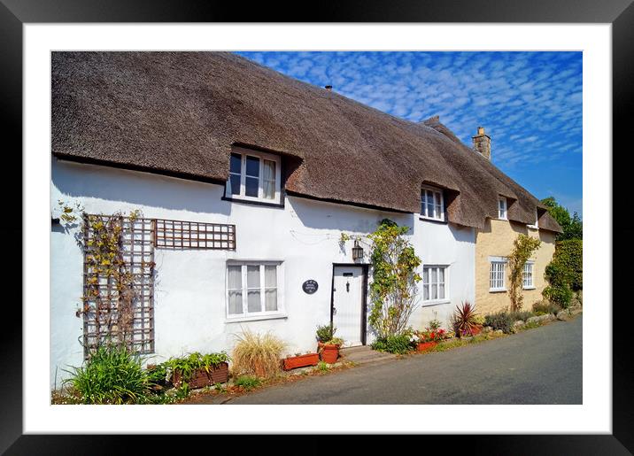 Chideock Cottages Dorset Framed Mounted Print by Darren Galpin