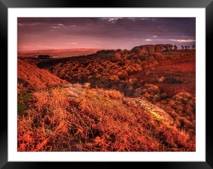 Dartmoor Dewerstone Rock Framed Mounted Print by Darren Galpin