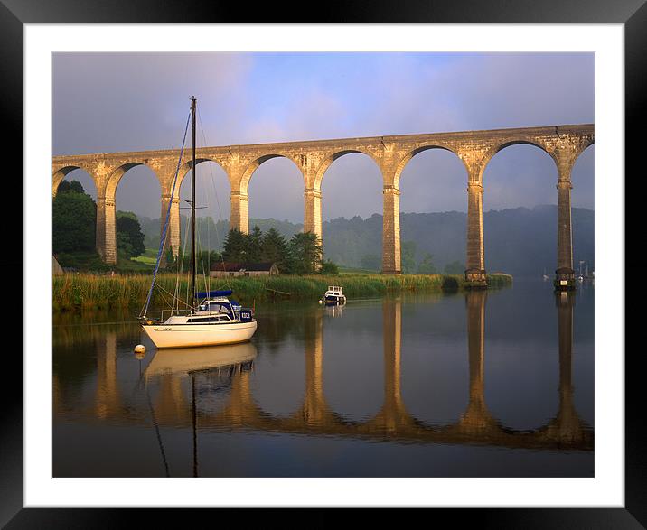 Calstock Viaduct & River Tamar Framed Mounted Print by Darren Galpin